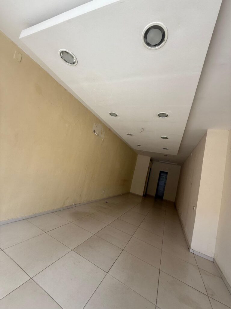 photo_2025-12-04_10-08-27 (3)